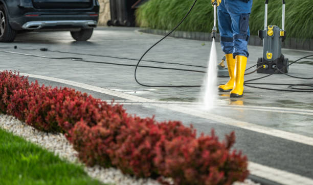 Roof Power Washing Services in Norwalk, OH